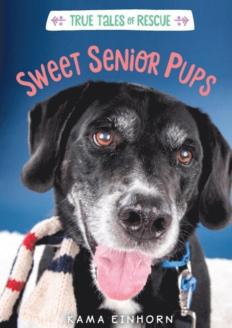 Kama Einhorn - Sweet Senior Pups, E-bok