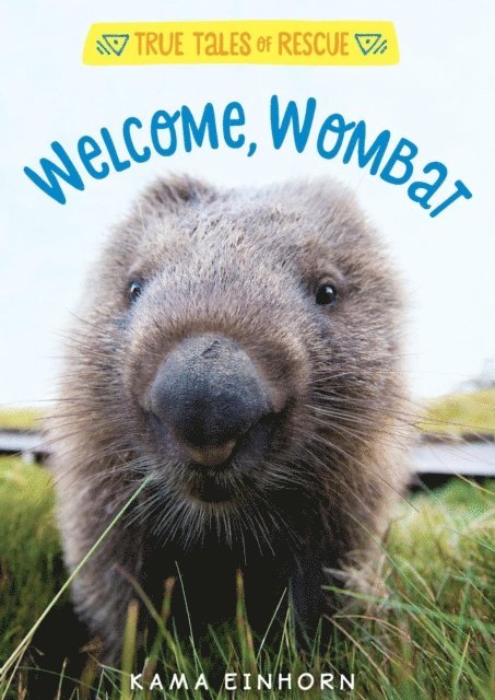 Kama Einhorn - Welcome, Wombat, E-bok