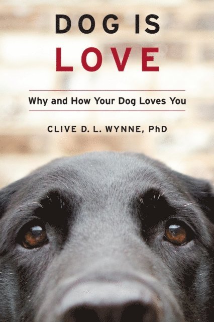 Clive D. L. Wynne - Dog Is Love, E-bok