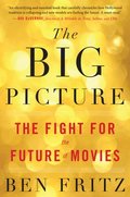 Big Picture