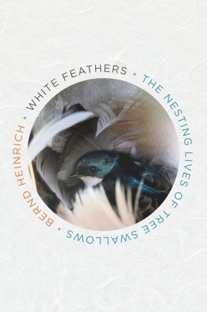 Bernd Heinrich - White Feathers, E-bok