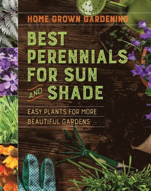 Best Perennials For Sun And Shade