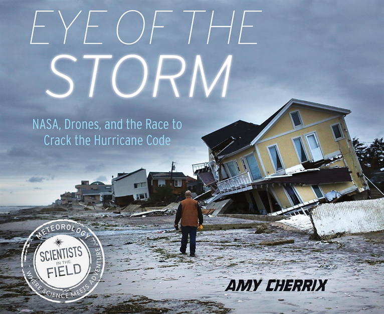 Amy Cherrix - Eye of the Storm, E-bok