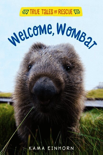 Kama Einhorn - Welcome, Wombat, Inbunden