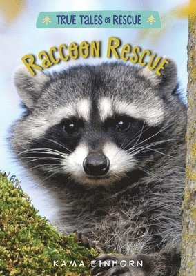 Kama Einhorn - Raccoon Rescue, Inbunden