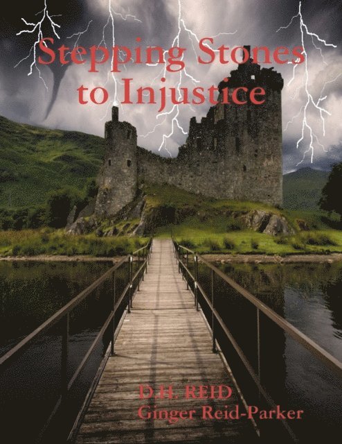 Ginger Reid-Parker, D.H. REID - Stepping Stones to Injustice, E-bok