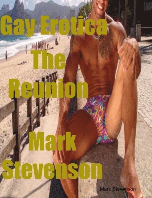 Mark Stevenson - Gay Erotica the Reunion, E-bok