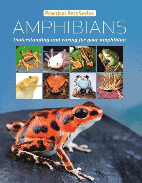 David Alderton - Amphibians, E-bok