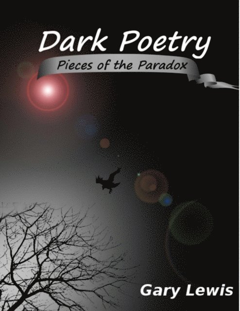 Gary Lewis - Dark Poetry: Pieces of the Paradox, E-bok