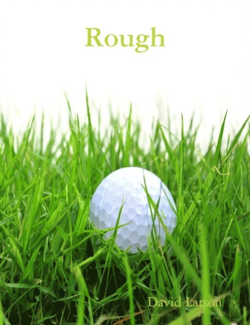 David Larson - Rough, E-bok