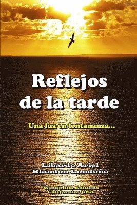 Libardo Ariel Blandon Londono - Reflejos De La Tarde, Häftad. Tillgänglighet: Lägg i varukorg