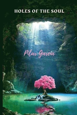 Pilar Garcia - Holes of the Soul, Häftad