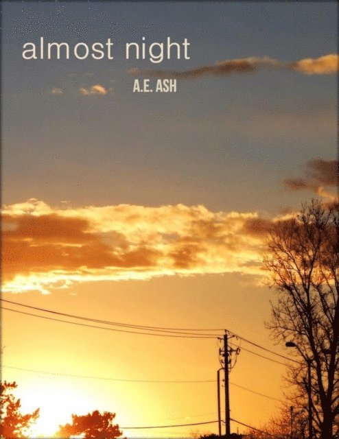 A.E. Ash - Almost Night, E-bok
