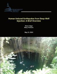 Human-Induced Earthquakes from Deep-Well Injection: A Brief Overview