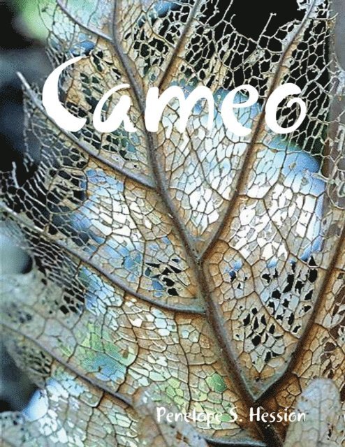 Penelope S. Hession - Cameo, E-bok