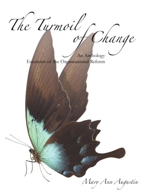 Mary Ann Augustin - Turmoil of Change, E-bok