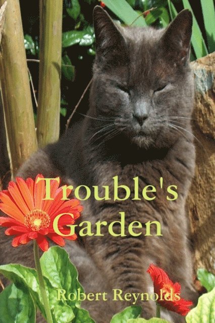 Robert Reynolds - Trouble's Garden, E-bok