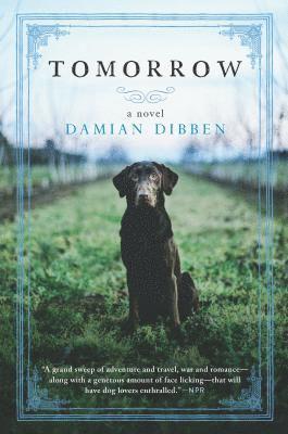 Damian Dibben - Tomorrow, Häftad