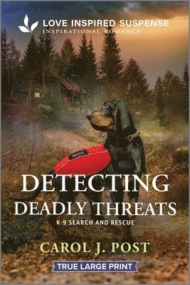Carol J. Post - Detecting Deadly Threats, Häftad