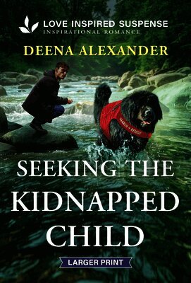 Deena Alexander - Seeking the Kidnapped Child, Pocket