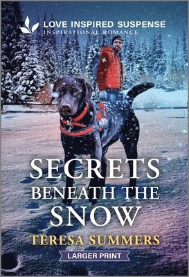 Teresa Summers - Secrets Beneath the Snow, Pocket