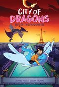 Rise of the Shadowfire: A Graphic Novel (City of Dragons #2)