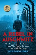 Rebel In Auschwitz: The True Story Of The Resistance Hero Who Fought The Nazis From Inside The Camp (scholastic Focus)