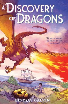 Lindsay Galvin - A Discovery of Dragons, Inbunden