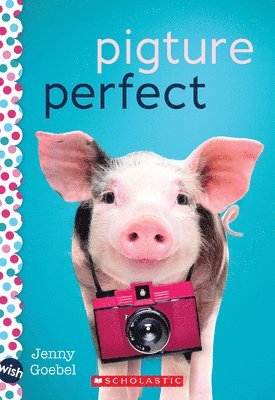 Jenny Goebel - Pigture Perfect: A Wish Novel, Häftad. Tillgänglighet: Tillfälligt slut