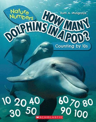Ruth Musgrave - How Many Dolphins In a Pod?: Counting By 10's (Nature Numbers), Häftad. Tillgänglighet: Lägg i varukorg