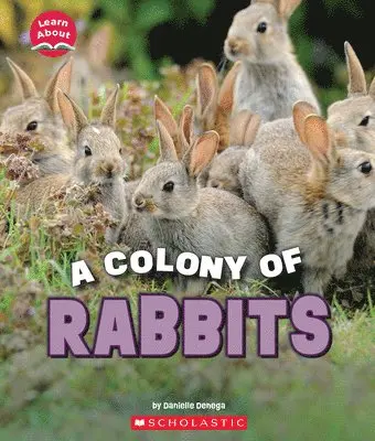 Danielle Denega - Colony of Rabbits (Learn About: Animals). Tillgänglighet: Lägg i varukorg