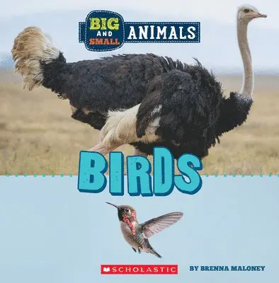 Brenna Maloney - Birds (Wild World: Big and Small Animals). Tillgänglighet: Lägg i varukorg
