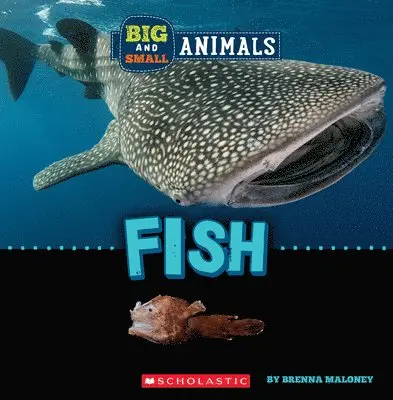 Brenna Maloney - Fish (Wild World: Big and Small Animals). Tillgänglighet: Lägg i varukorg