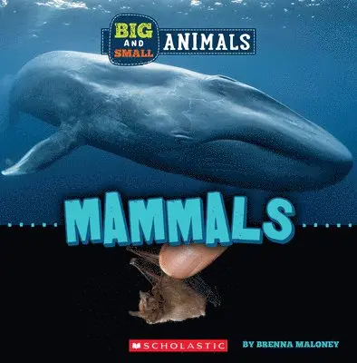 Brenna Maloney - Mammals (Wild World: Big and Small Animals). Tillgänglighet: Lägg i varukorg