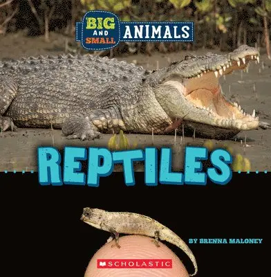 Brenna Maloney - Reptiles (Wild World: Big and Small Animals). Tillgänglighet: Lägg i varukorg
