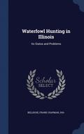 Waterfowl Hunting in Illinois