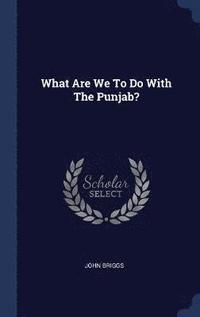 What Are We To Do With The Punjab?