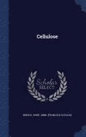Josef  [From Old Catalog] Bersch - Cellulose, Inbunden
