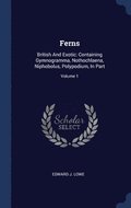 Ferns: British And Exotic: Containing Gy