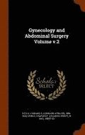 Gynecology and Abdominal Surgery Volume v.2