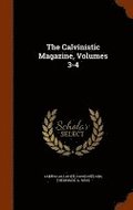 The Calvinistic Magazine, Volumes 3-4