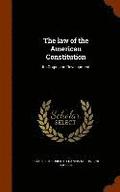 The law of the American Constitution