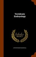 Vertebrate Embryology