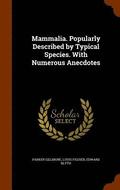 Mammalia. Popularly Described by Typical Species. With Numerous Anecdotes
