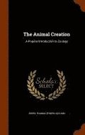 The Animal Creation