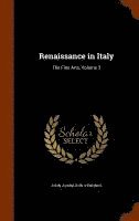 John Addington Symonds - Renaissance in Italy, Inbunden