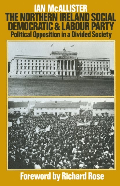 Ian McAllister - Northern Ireland Social Democratic and Labour Party, E-bok