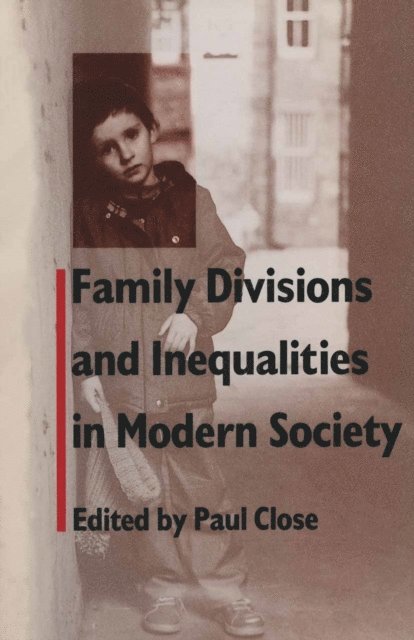 Paul Close - Family Divisions and Inequalities in Modern Society, E-bok