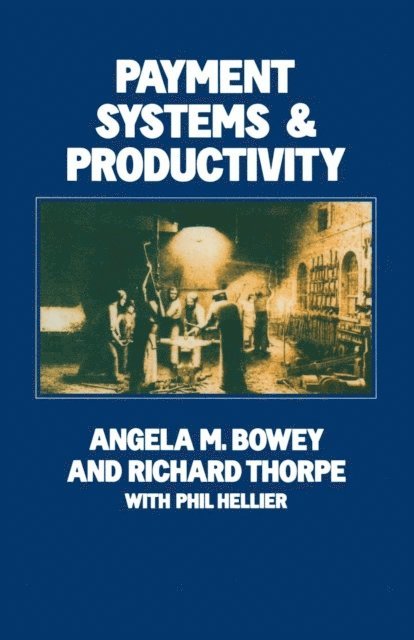 Richard S Thorpe, Angela M Bowey - Payment Systems and Productivity, E-bok