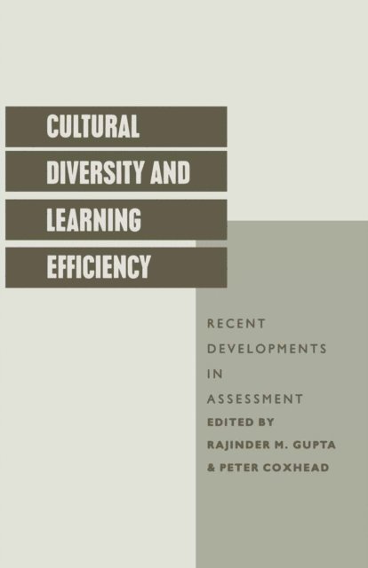 Rajinder M Gupta, Peter Coxhead - Cultural Diversity And Learning Efficiency, E-bok
